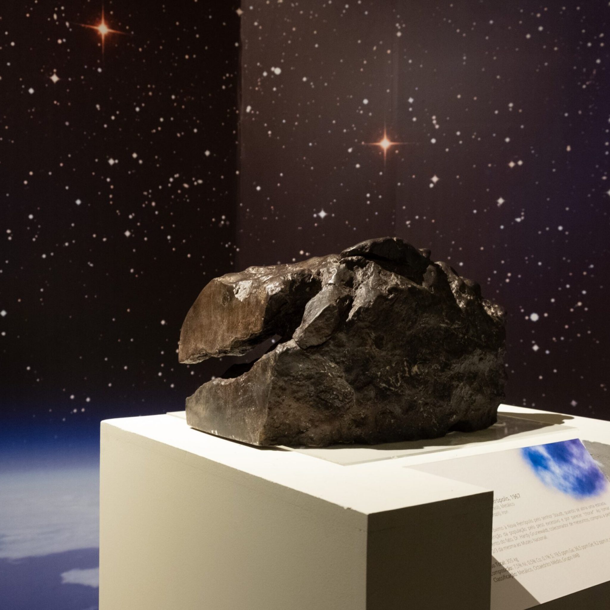 Foto: Diogo Vasconcellos - MN/UFRJ