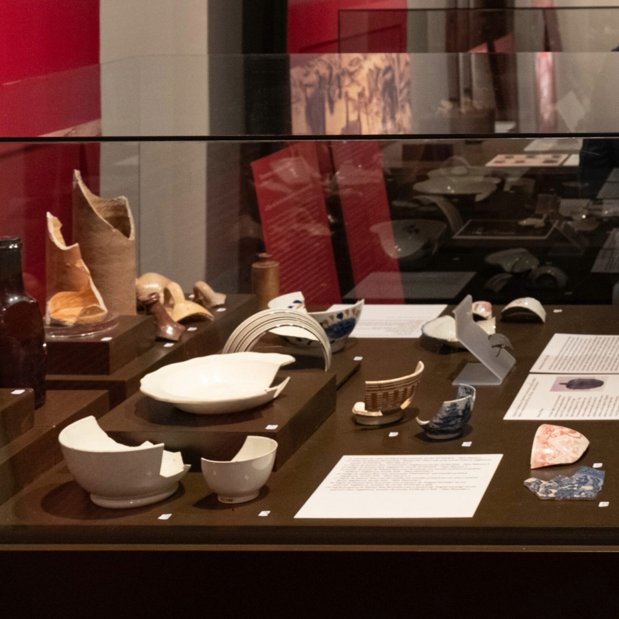 Foto: Diogo Vasconcellos - MN/UFRJ